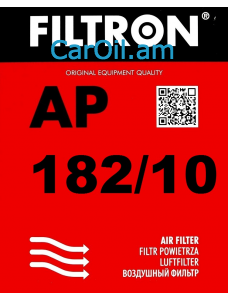 Filtron AP 182/10